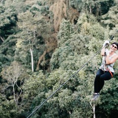 Jungle canopy during the Gibbon Experience in Laos