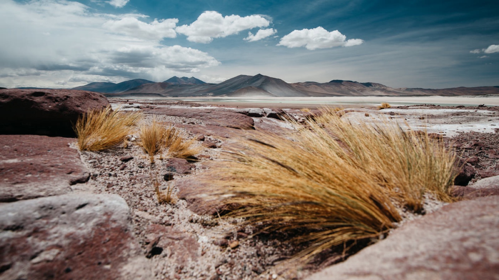 Piedras Rojas beneath a dramatic sky in the Atacama Desert