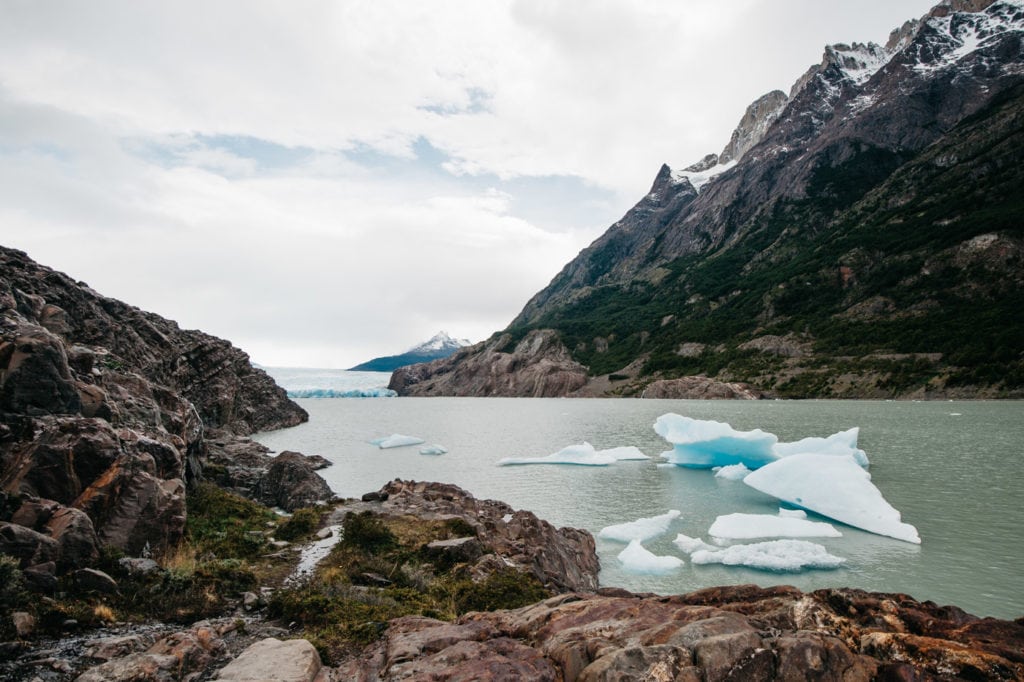 Hike to the Grey Glacier with icebergs in the water