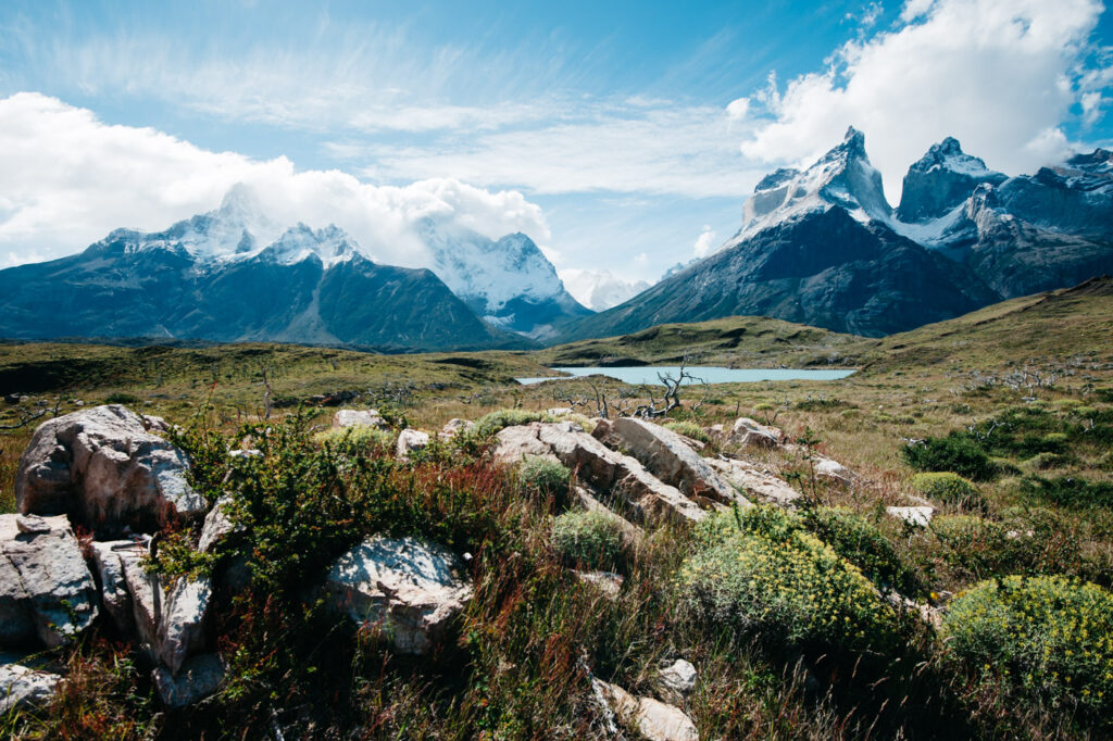 Torres del Paine View