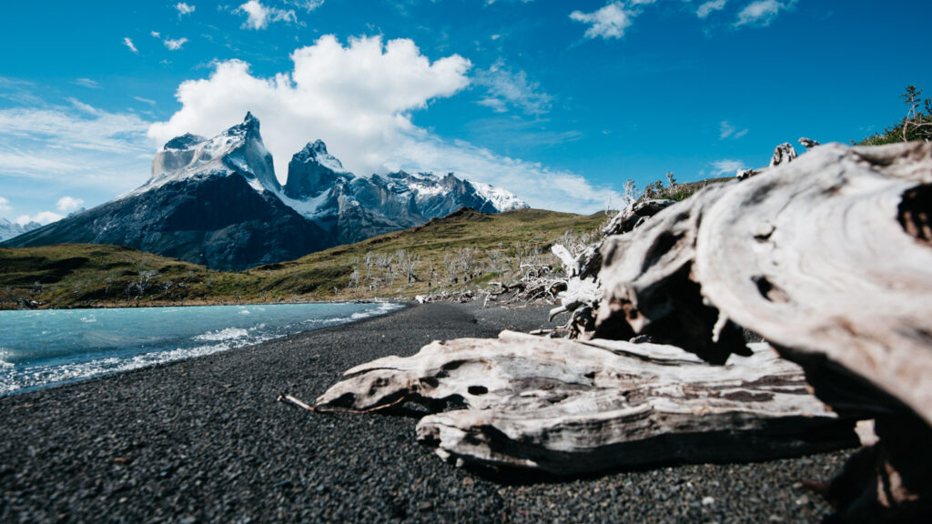 Torres del Paine with some old weathered wood in the foreground