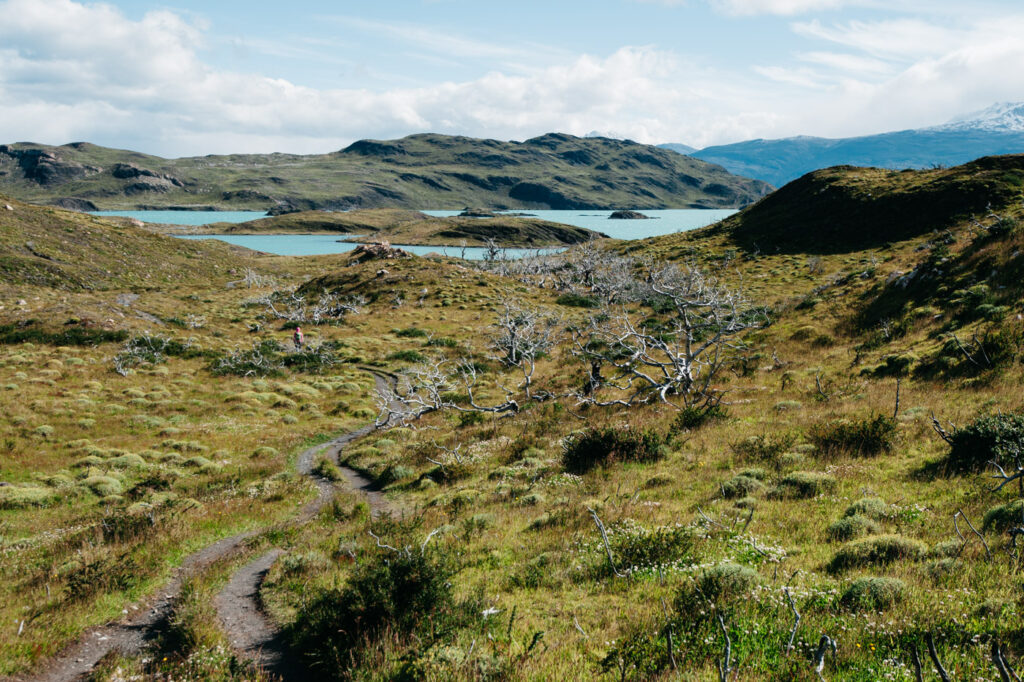 Torres del Paine lake