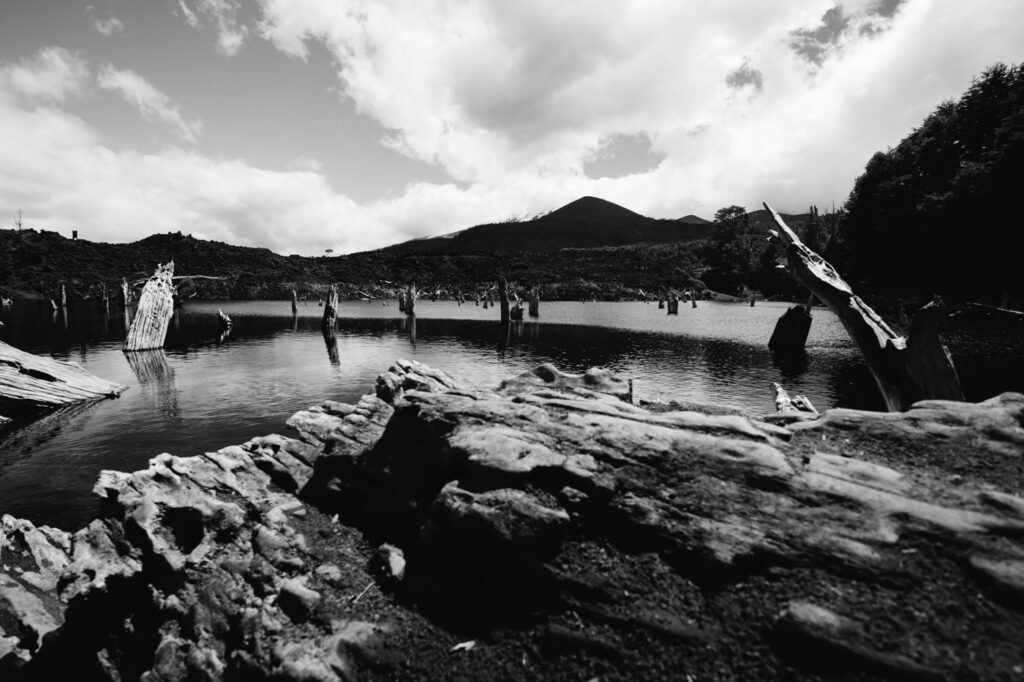 Chile Parque Nacional Conguillio lake with dead trees in front of Volcan Llaima