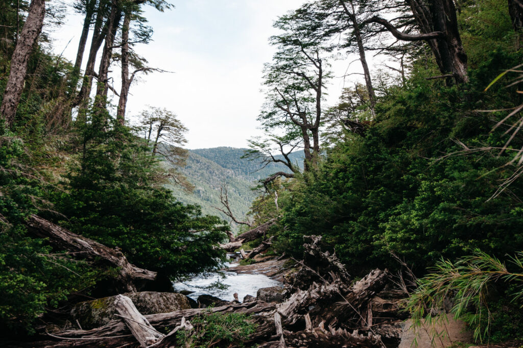 Chile Parque Nacional Huerquehue Sendero Los Lagos Waterfall Lago Chico