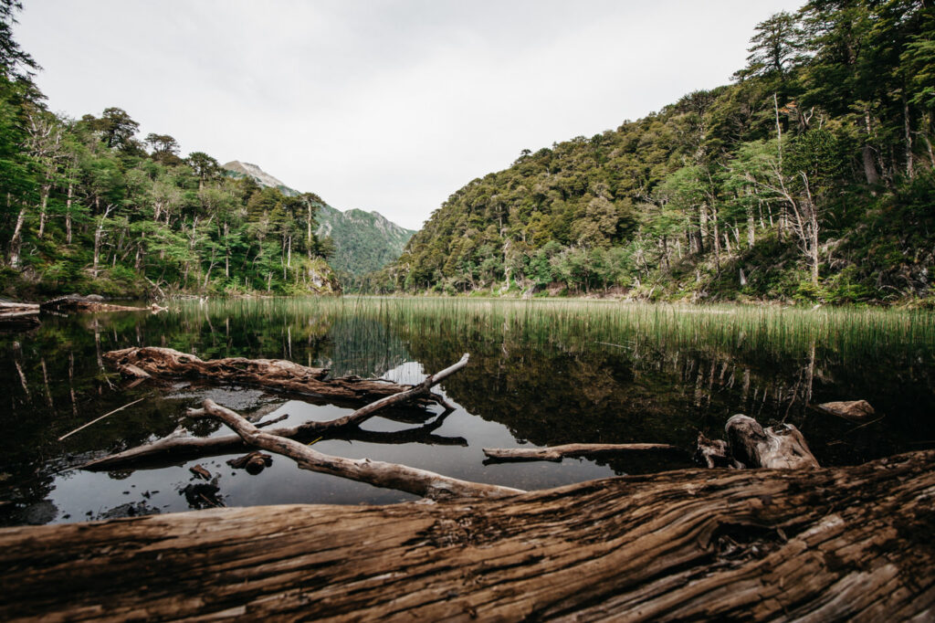 Chile Parque Nacional Huerquehue Sendero Los Lagos Lago El Toro