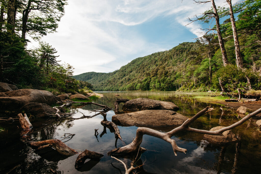 Chile Parque Nacional Huerquehue Sendero Los Lagos Laguna Verde