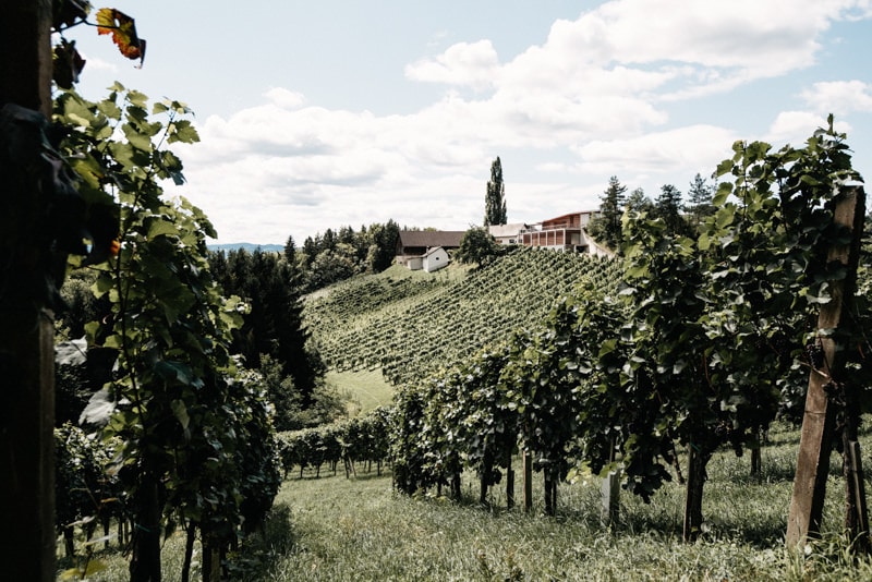 Buschenschank in the rolling hills of southern styria