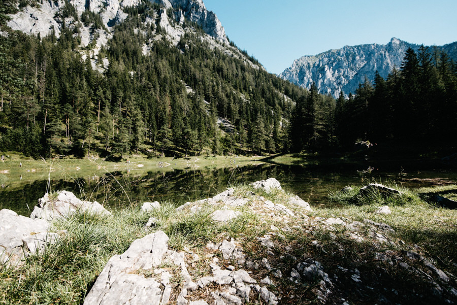 Grüner See mit niedrigem Wasserstand vor bewaldeten Bergen