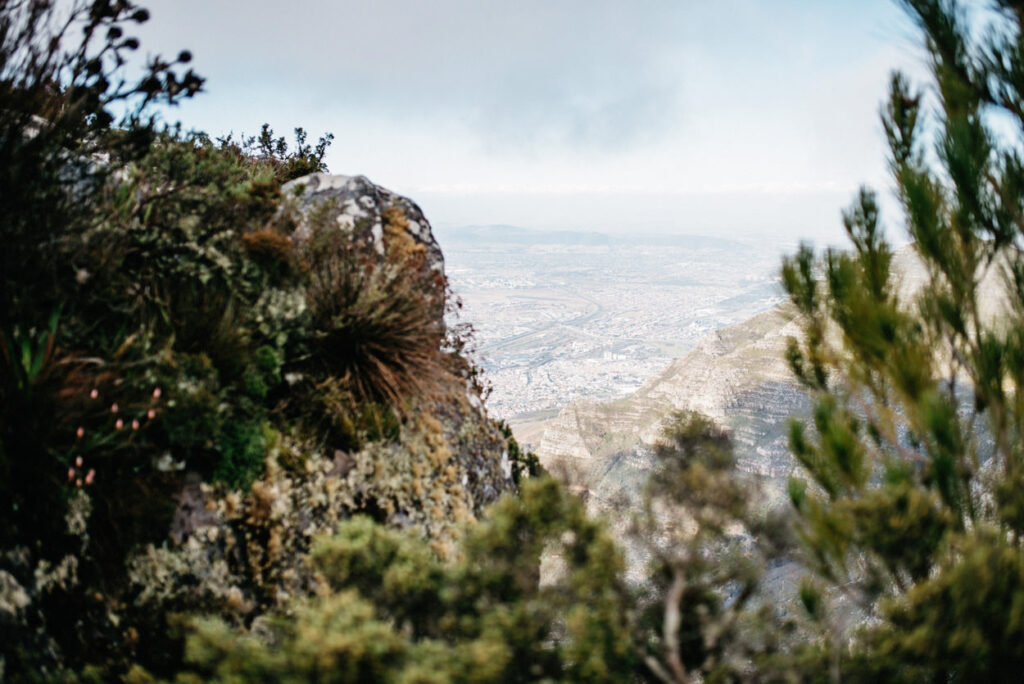 Cape-Town-Table-Mountain-View