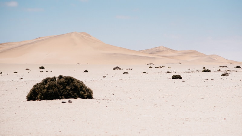 Walvis Bay Dune 7