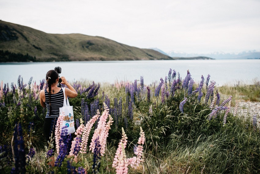 Filming Lake Tekapo Lupines