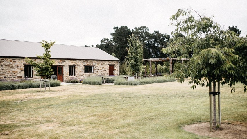 Lavender Farm Wanaka