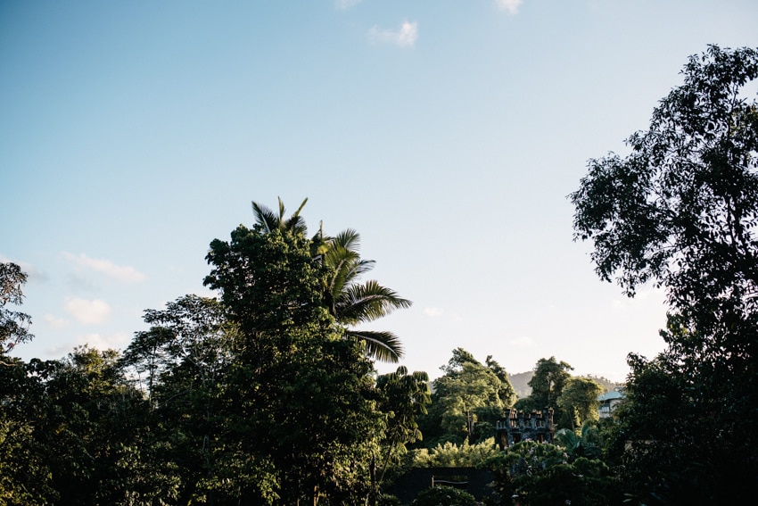 Paronella Park Treetops