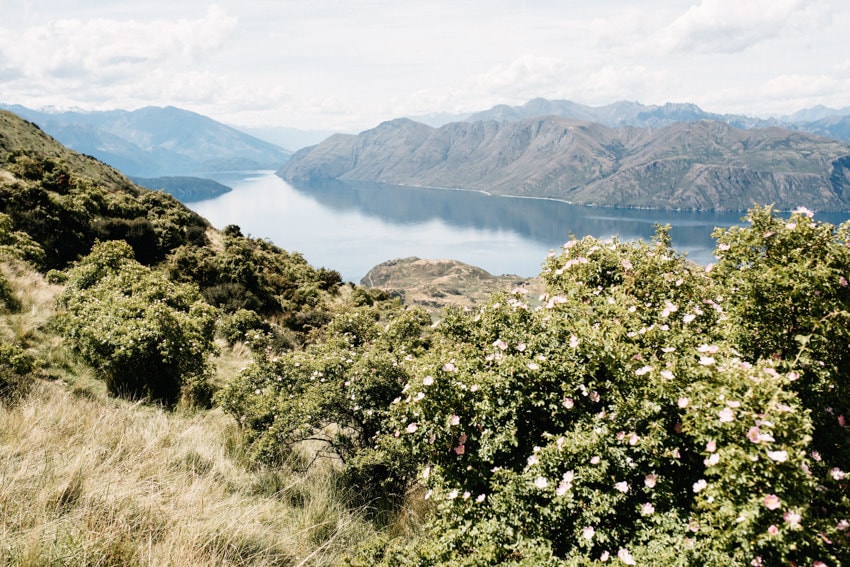 View over Wanaka Lake while climbing Roy's Peak