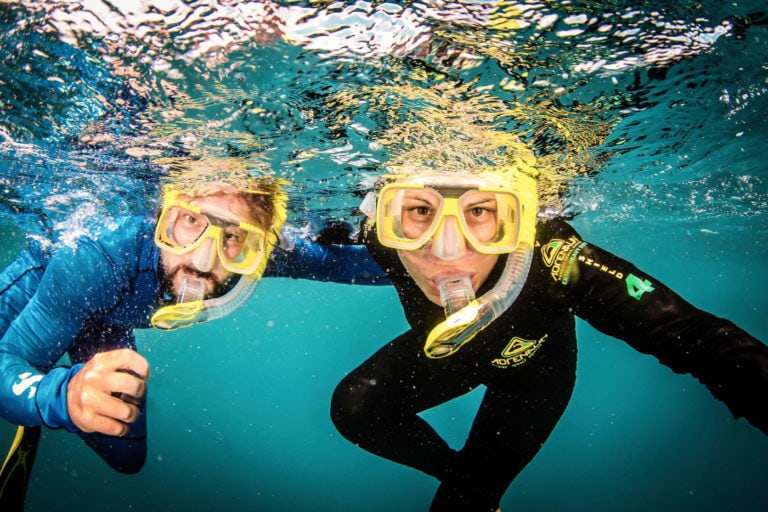 Great Barrier Reef Tour
