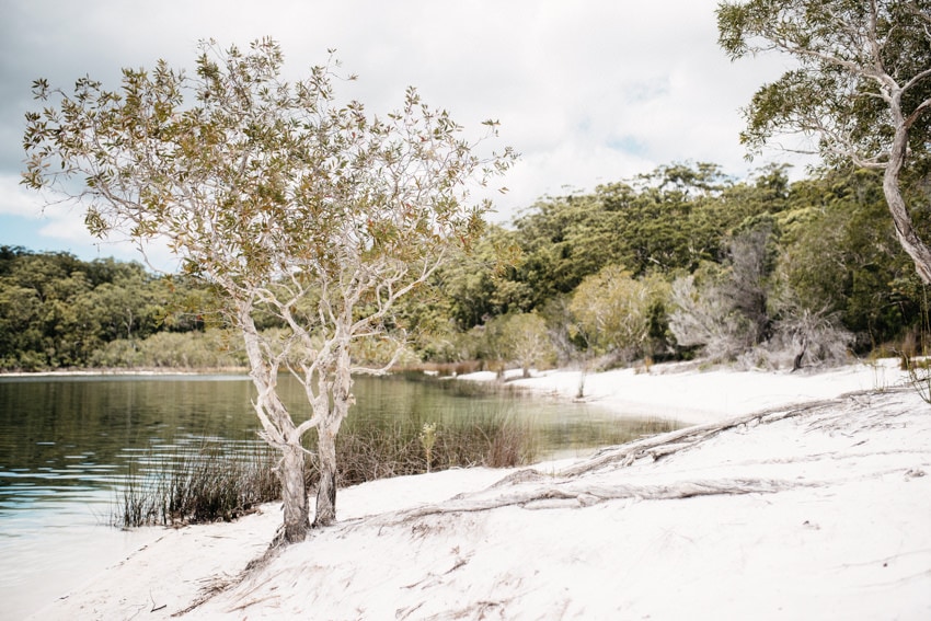 Lake McKenzie