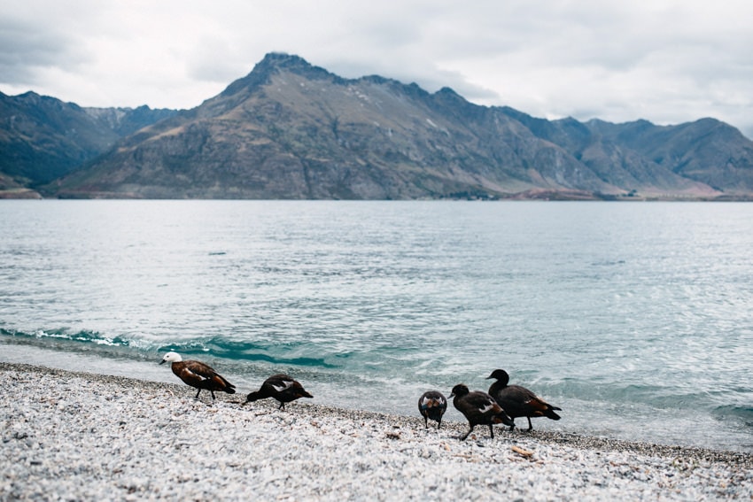 Lake Wakatipu