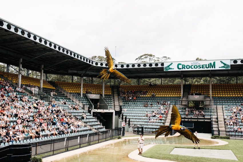 Australia Zoo Crocoseum