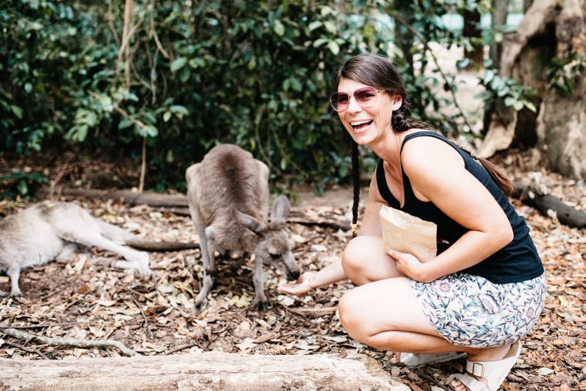 Australian Zoo Feeding and Petting Kangaroo