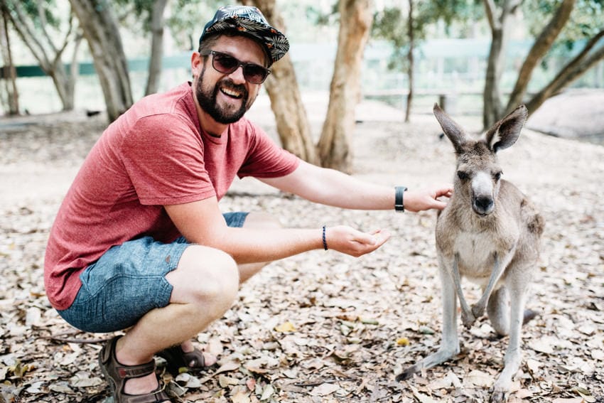 Australian Zoo Feeding and Petting Kangaroo