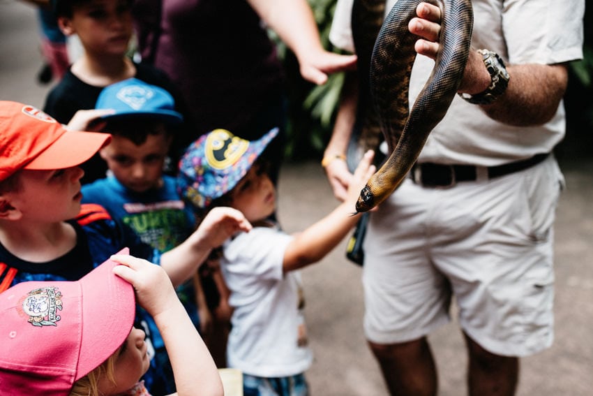 Australian Zoo Children touching Snake