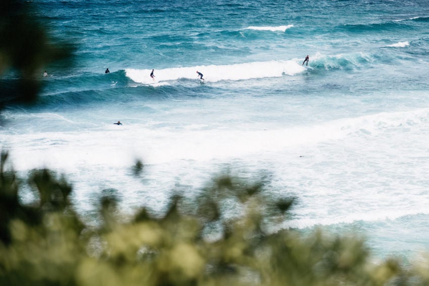 Surfing Bondi Beach