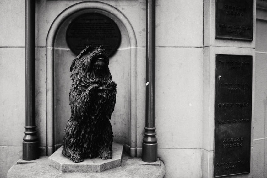 Queen Victoria Building Talking Dog