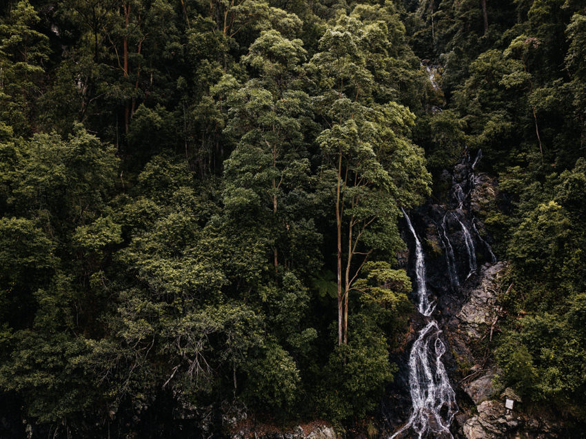 Waterfall in Dorrigo National Park