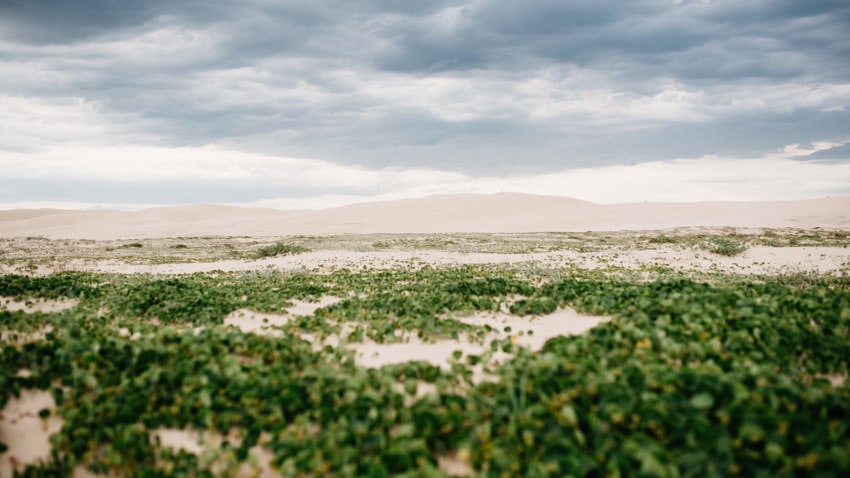 Worimi Regional Park Sanddunes