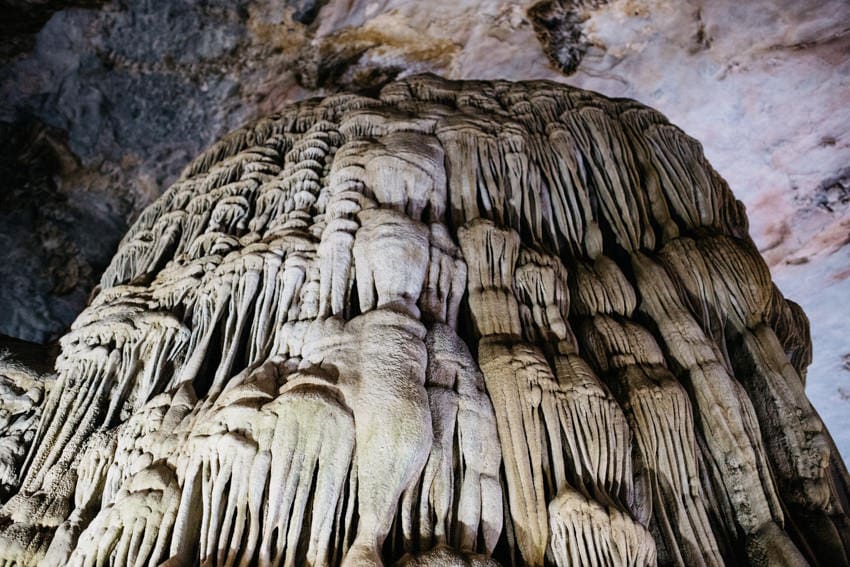 Phong Nha Kẻ Bàng National Park Paradise Cave Tours 2