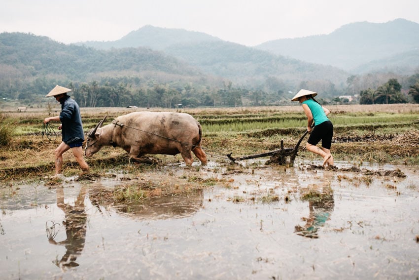 Lao Living Land Company Luang Prabang 1