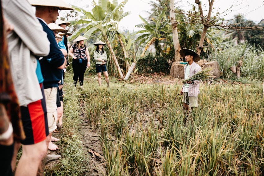 Lao Living Land Company Luang Prabang 3