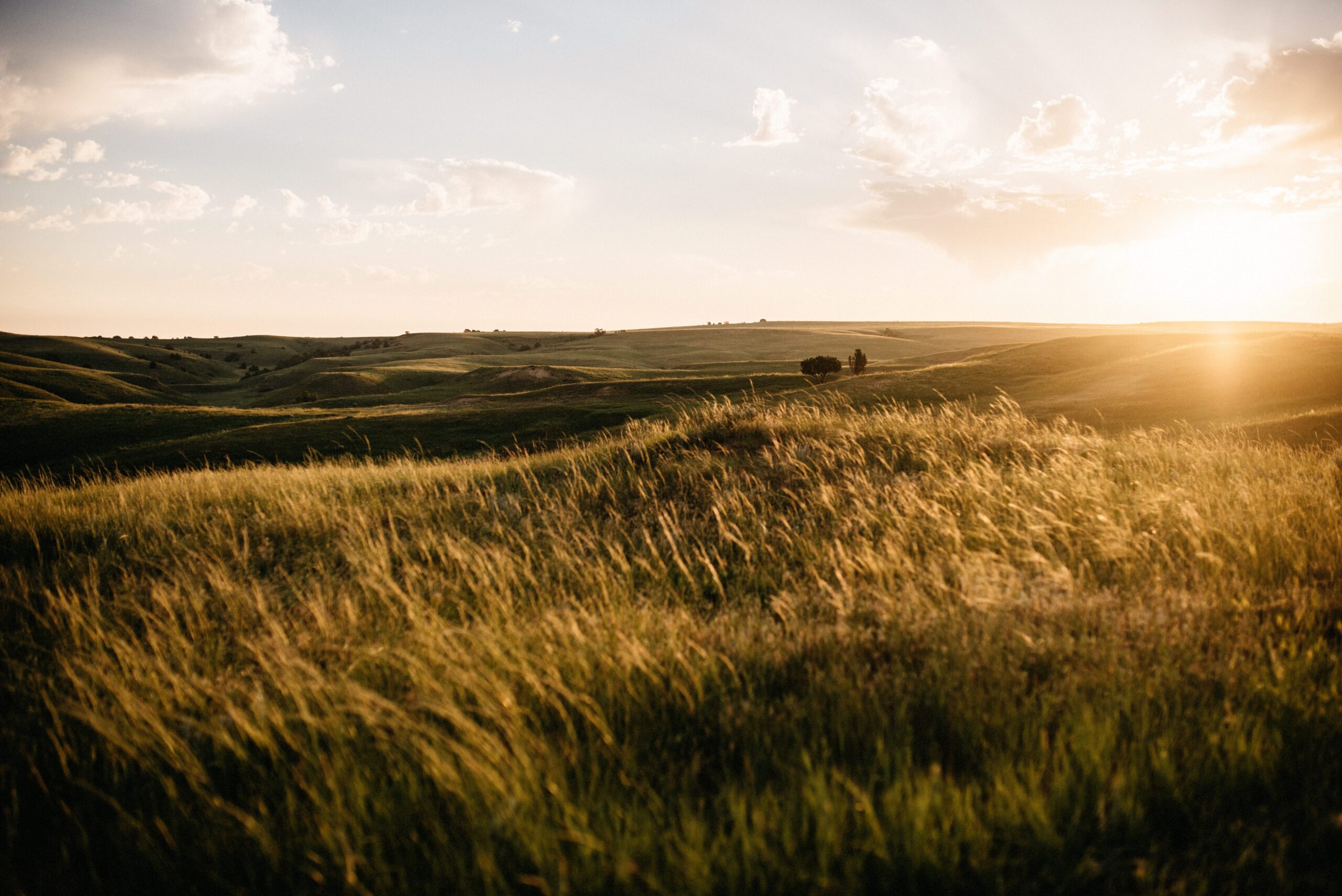 Sunset across the grassland east of the Black Hills