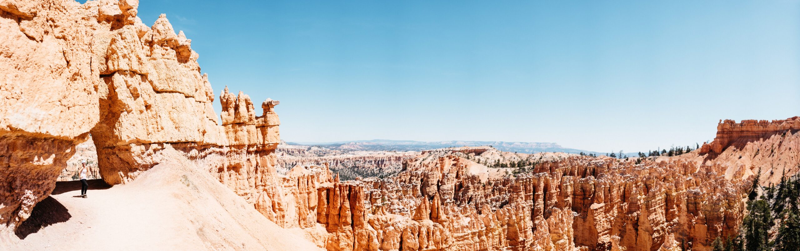 A panoramic view across the Bryce Canyon amphitheatre