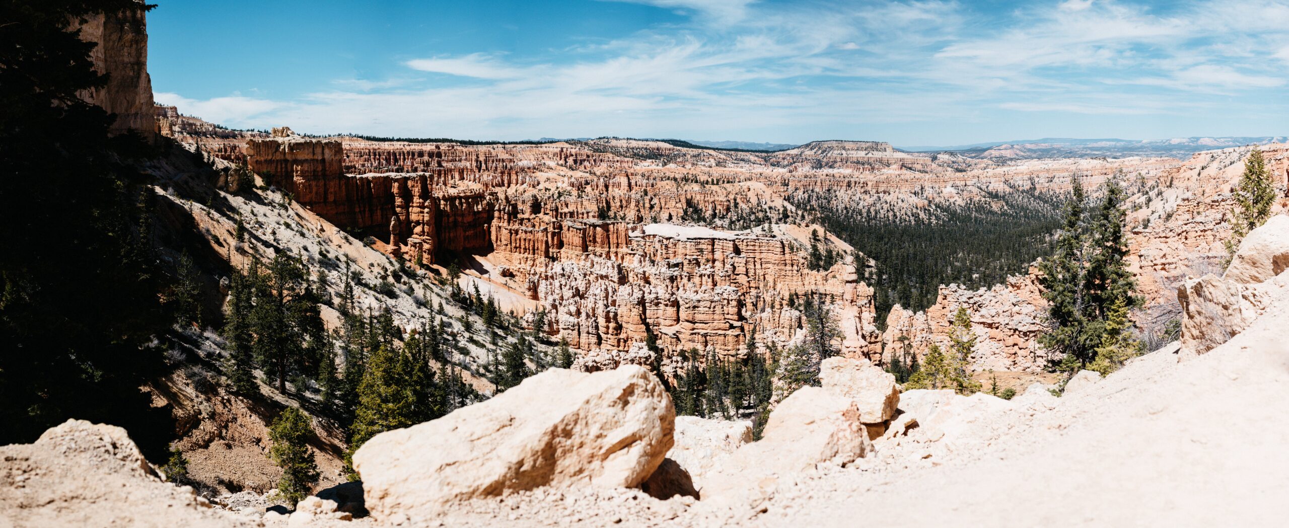 The hoodoos and forest viewed from the rim of Bryce Canyon