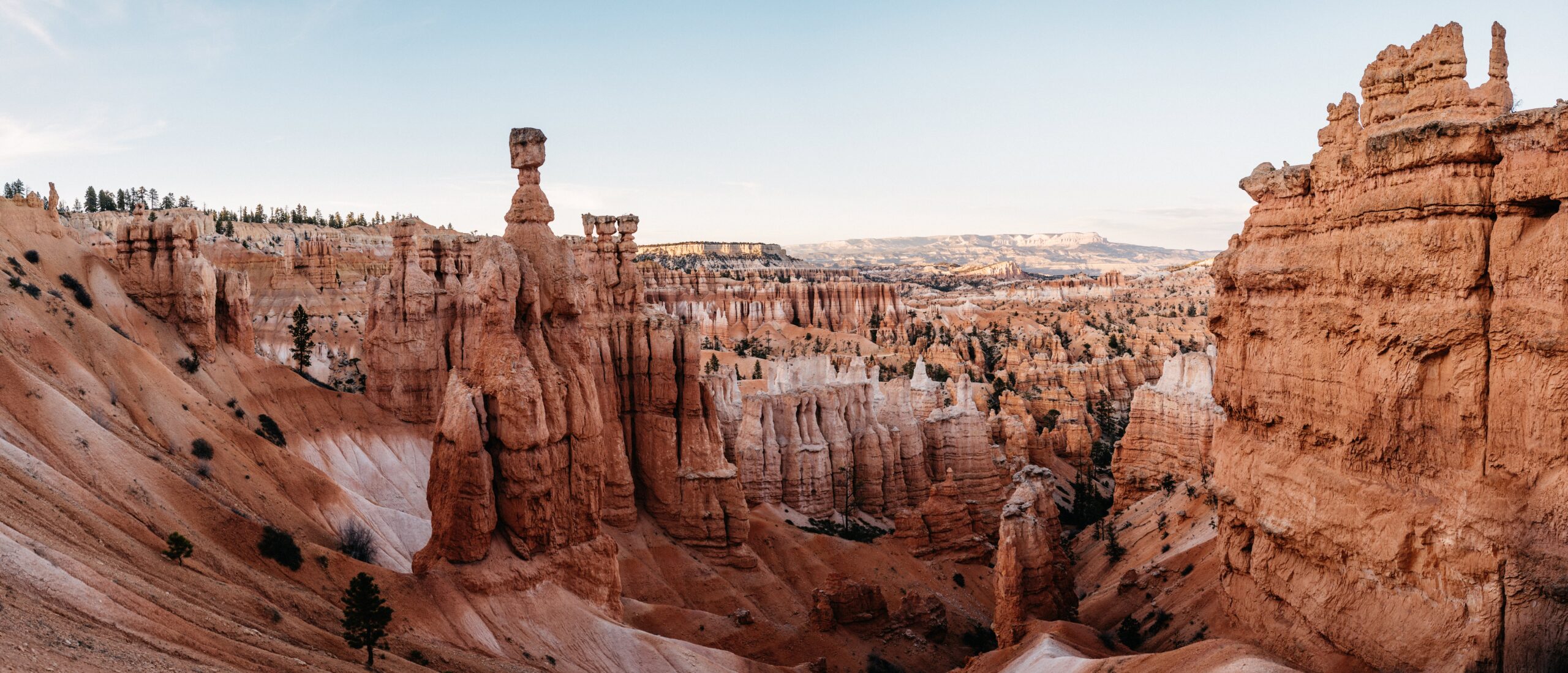Thor's Hammer standing above the Bryce Canyon amphitheatre