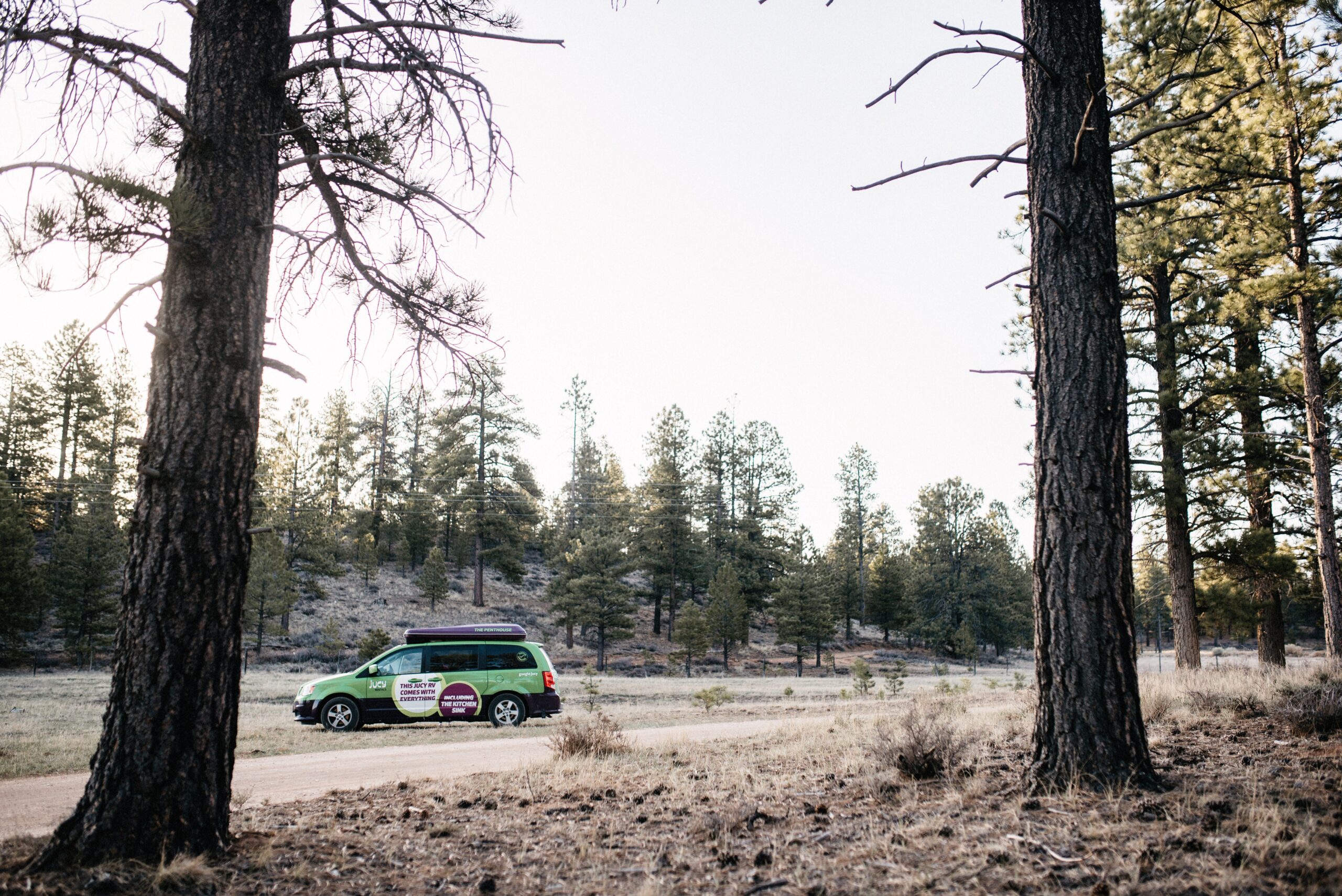 Our campervan parked among snow and pine trees near Bryce Canyon