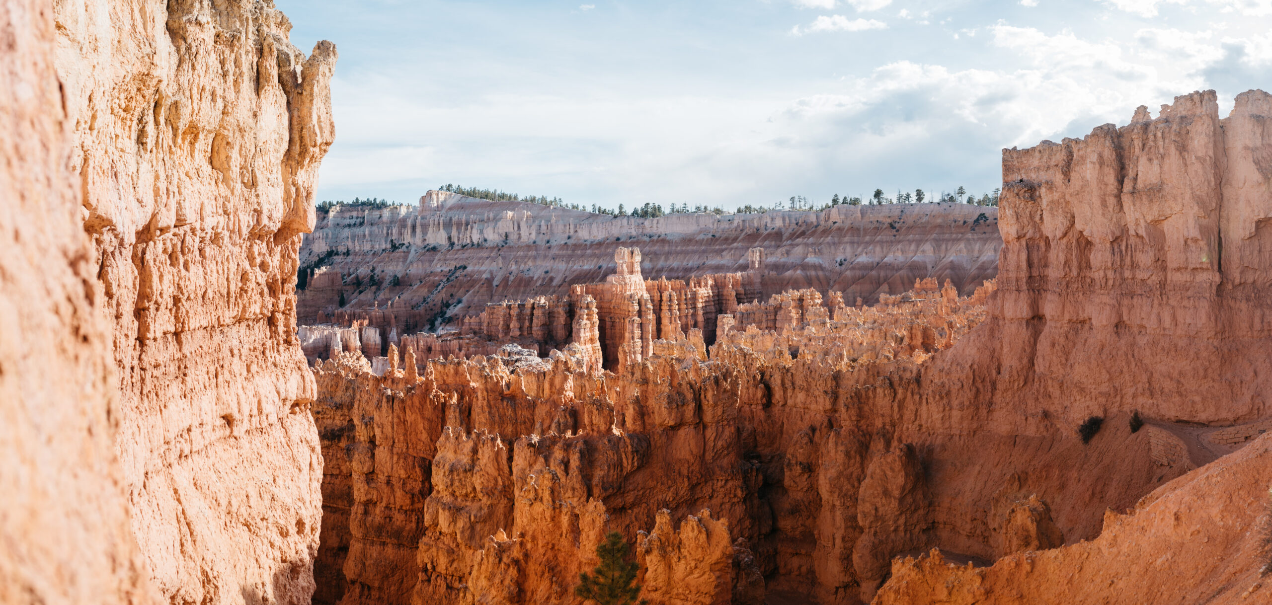 A panoramic view over the Fairyland hoodoos