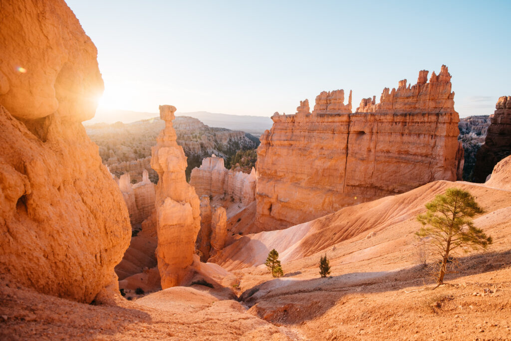 Sunset lighting the hoodoos below the rim of Bryce Canyon