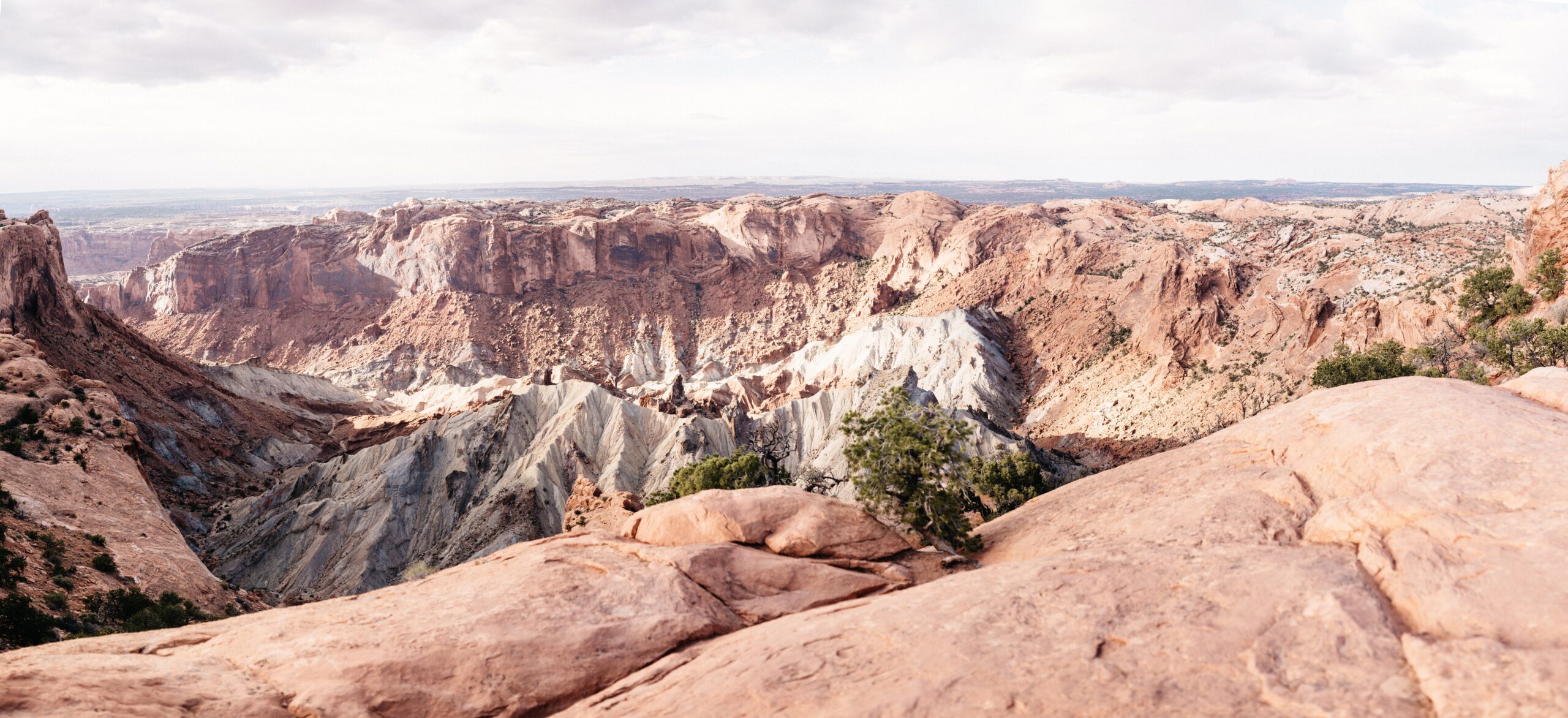 A panoramic view across the canyons from Island in the Sky