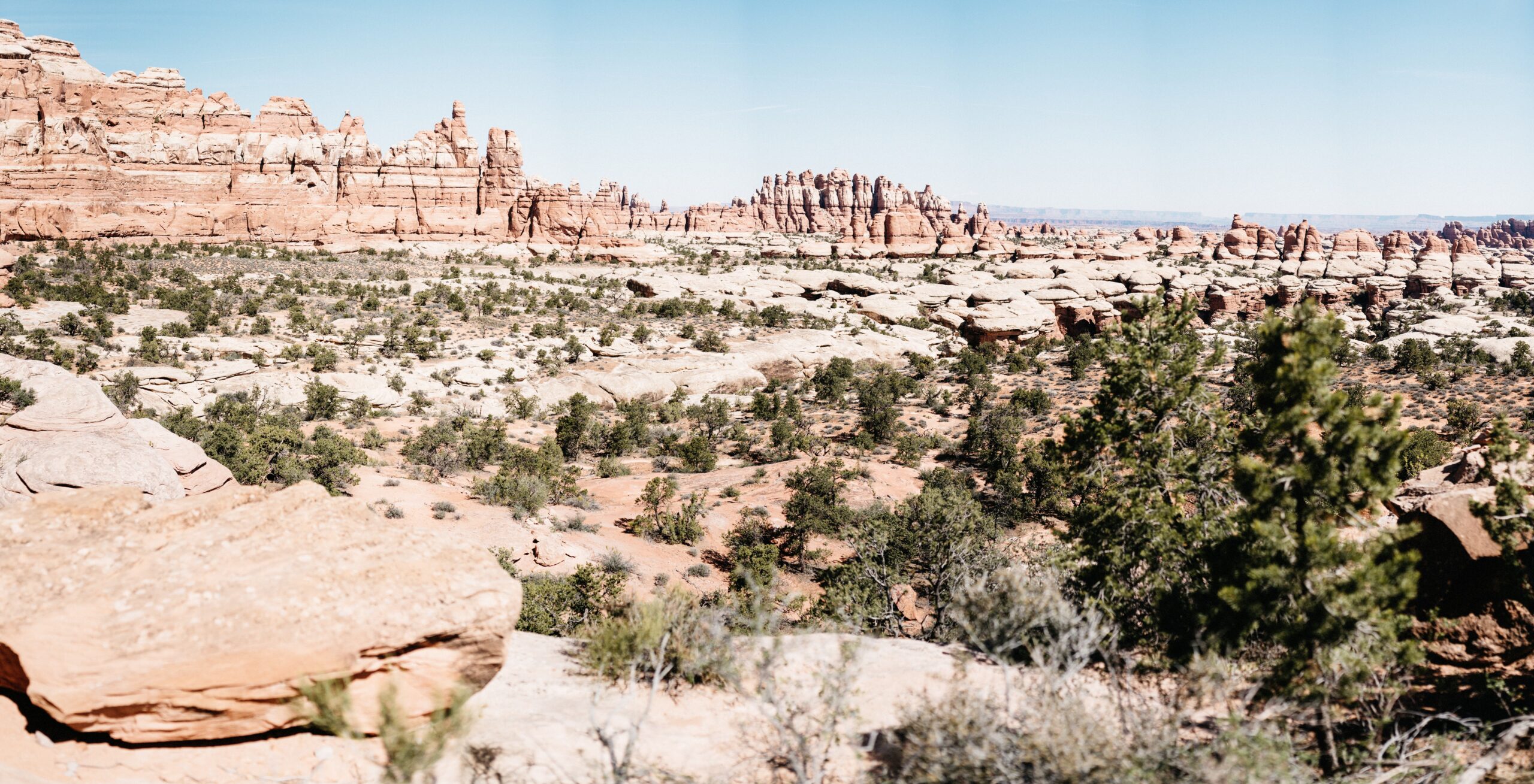 A panoramic view across the rock formations of Chesler Park