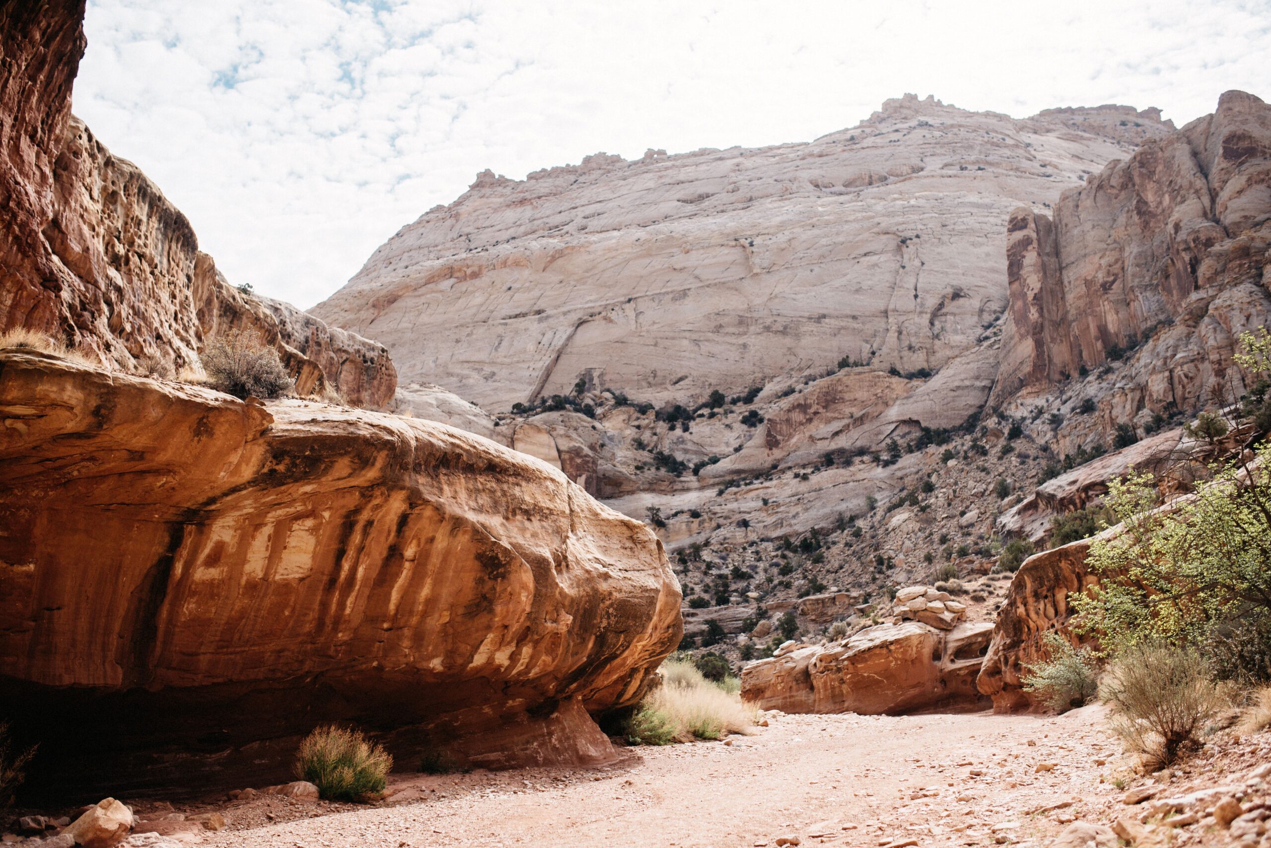 The rock walls beside the Grand Wash Trail