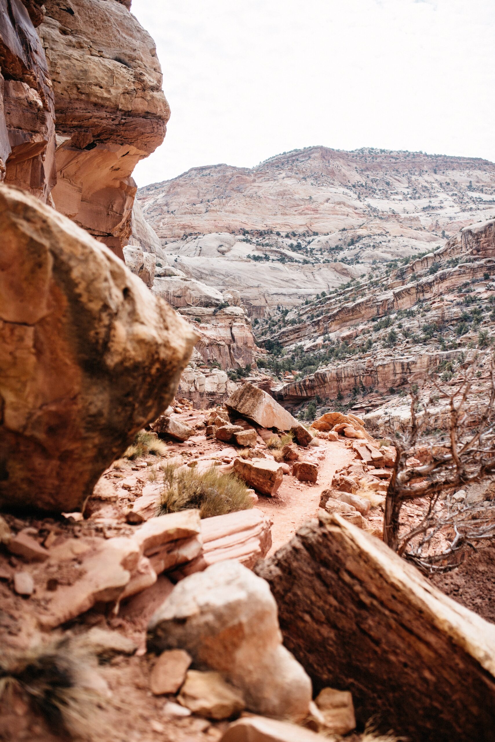 The steep rocky climb towards Cassidy Arch
