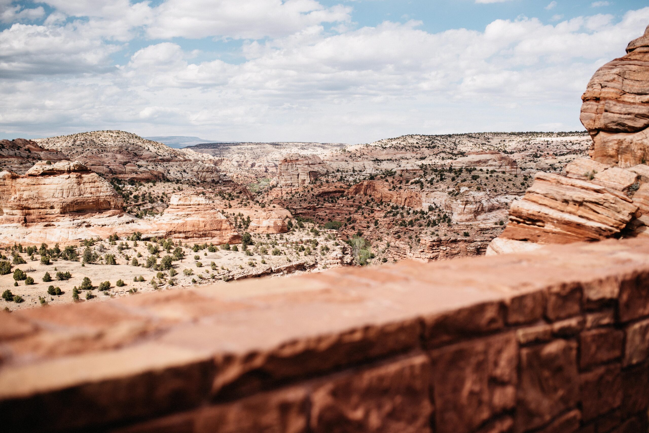 The canyon landscape viewed from Goosenecks Overlook