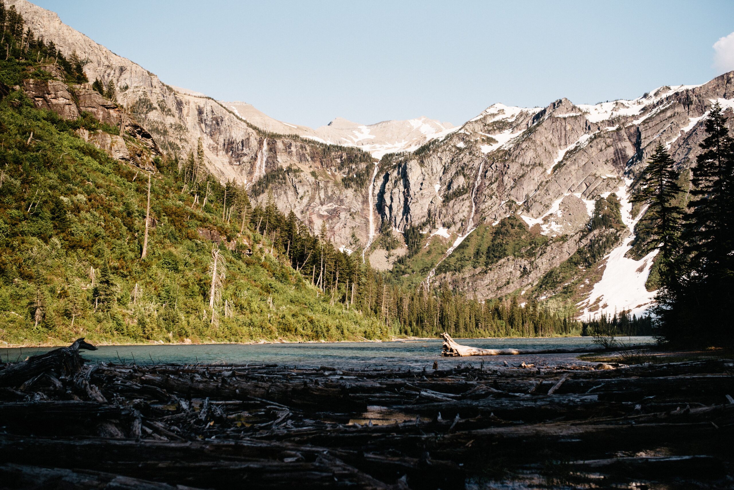 Treibholzufer und Wasserfälle am Avalanche Lake