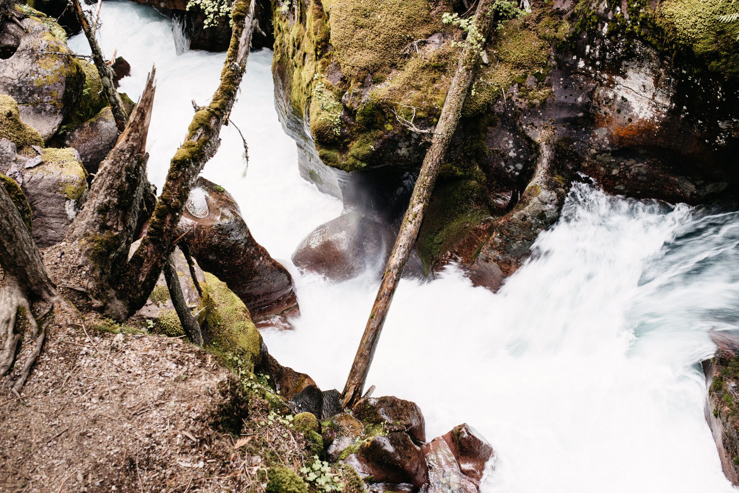 Avalanche Creek drängt sich durch Felsen und umgestürzte Bäume