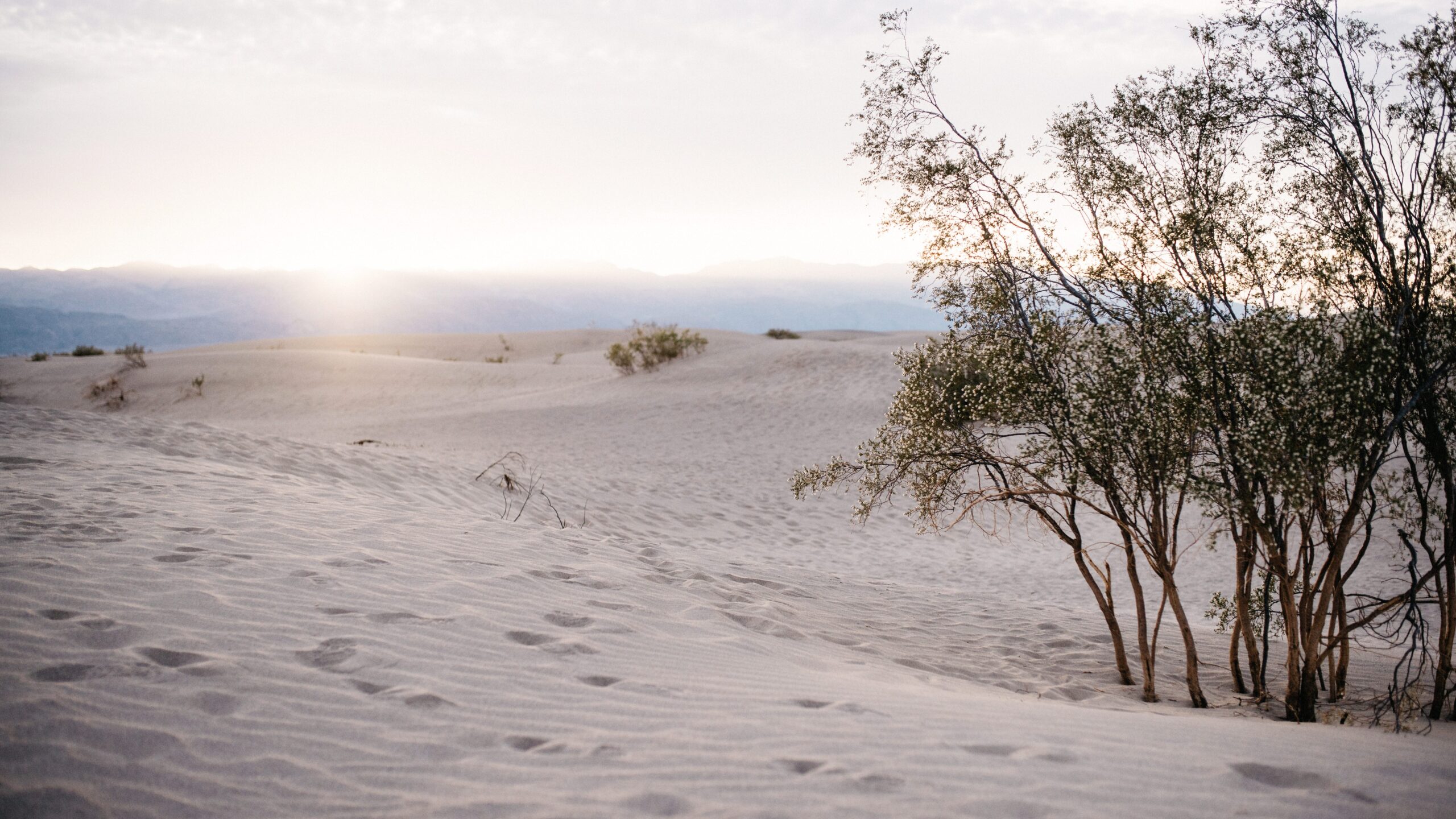 Sonnenuntergang über den Mesquite Flat Sand Dunes