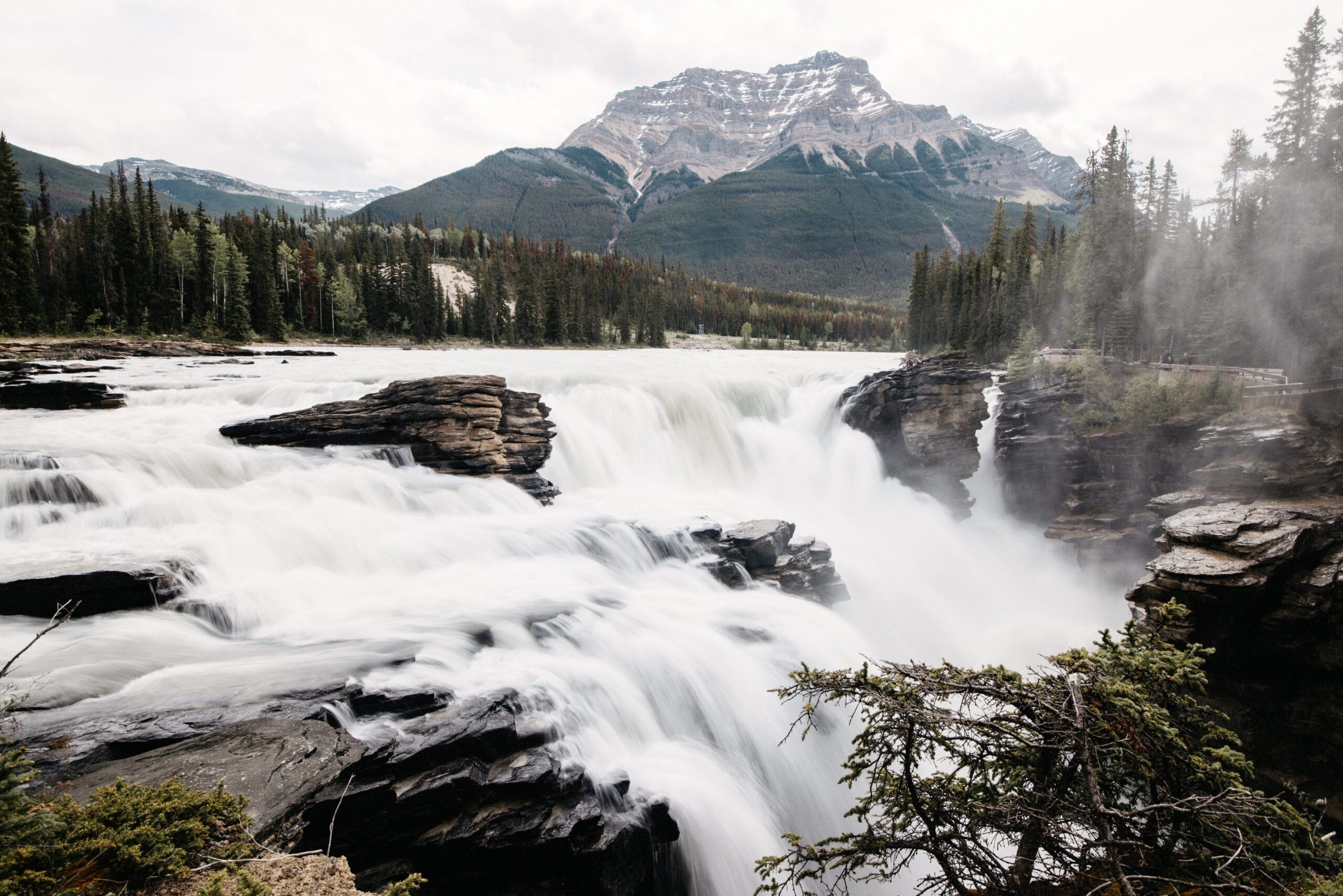 Athabasca Falls rauscht zwischen dunklen Felsen hindurch