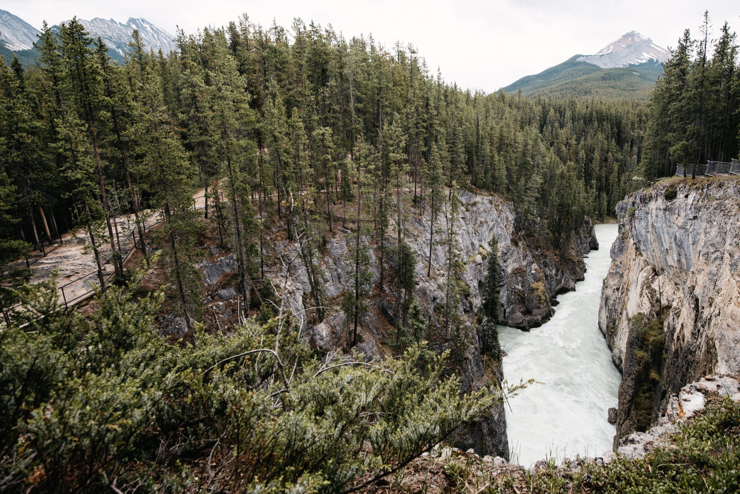 Der Fluss am Icefields Parkway schneidet durch einen engen Canyon