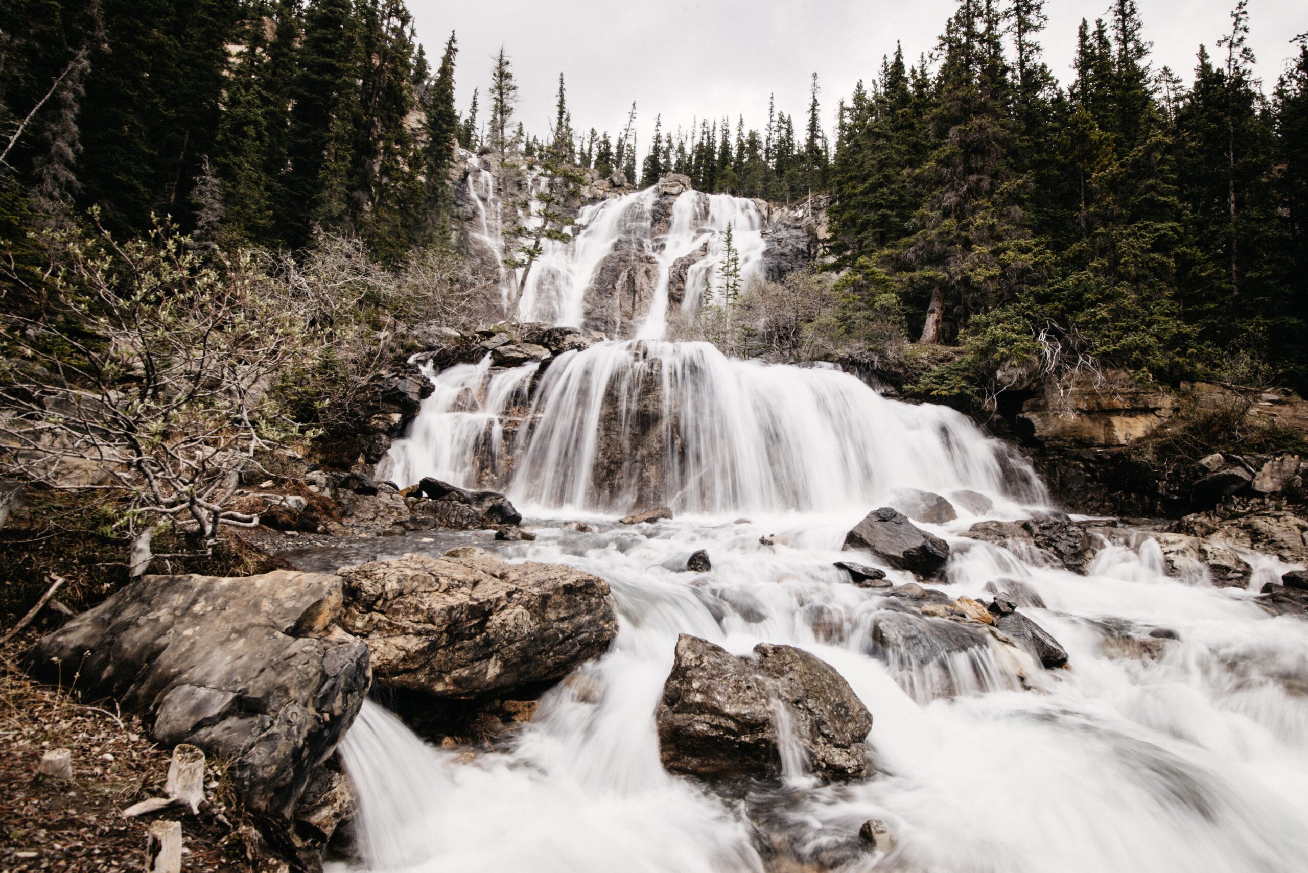 Tangle Creek Falls neben dem Icefields Parkway